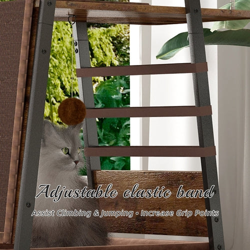 58-Inch Modern Cat Tree for Large Cats – Wooden Maine Coon Cat Tower