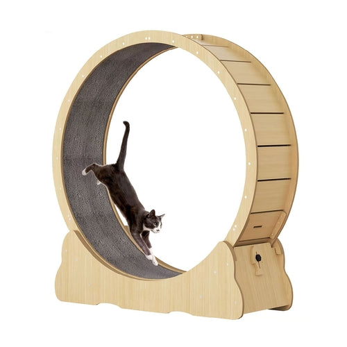Title: Large Cat Exercise Wheel Treadmill – Quiet Indoor Running Wheel