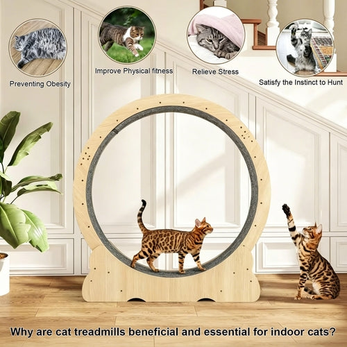 Title: Large Cat Exercise Wheel Treadmill – Quiet Indoor Running Wheel