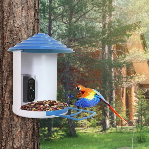 Smart Bird Feeder With Solar Powered Camera 1080P HD AI Identify PIR