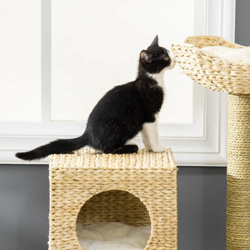PawHut Cattail Weave Cat Tree For Indoor Cats Kitty Tower With Rattan
