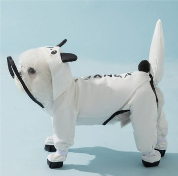 Black and white panda